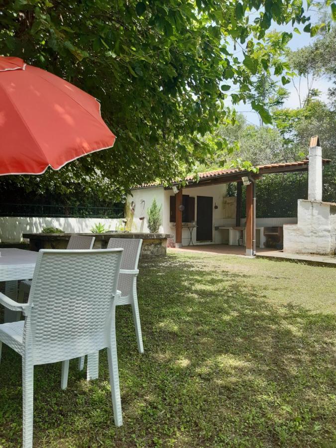 Villa Livia วิลลัมมาเร ภายนอก รูปภาพ