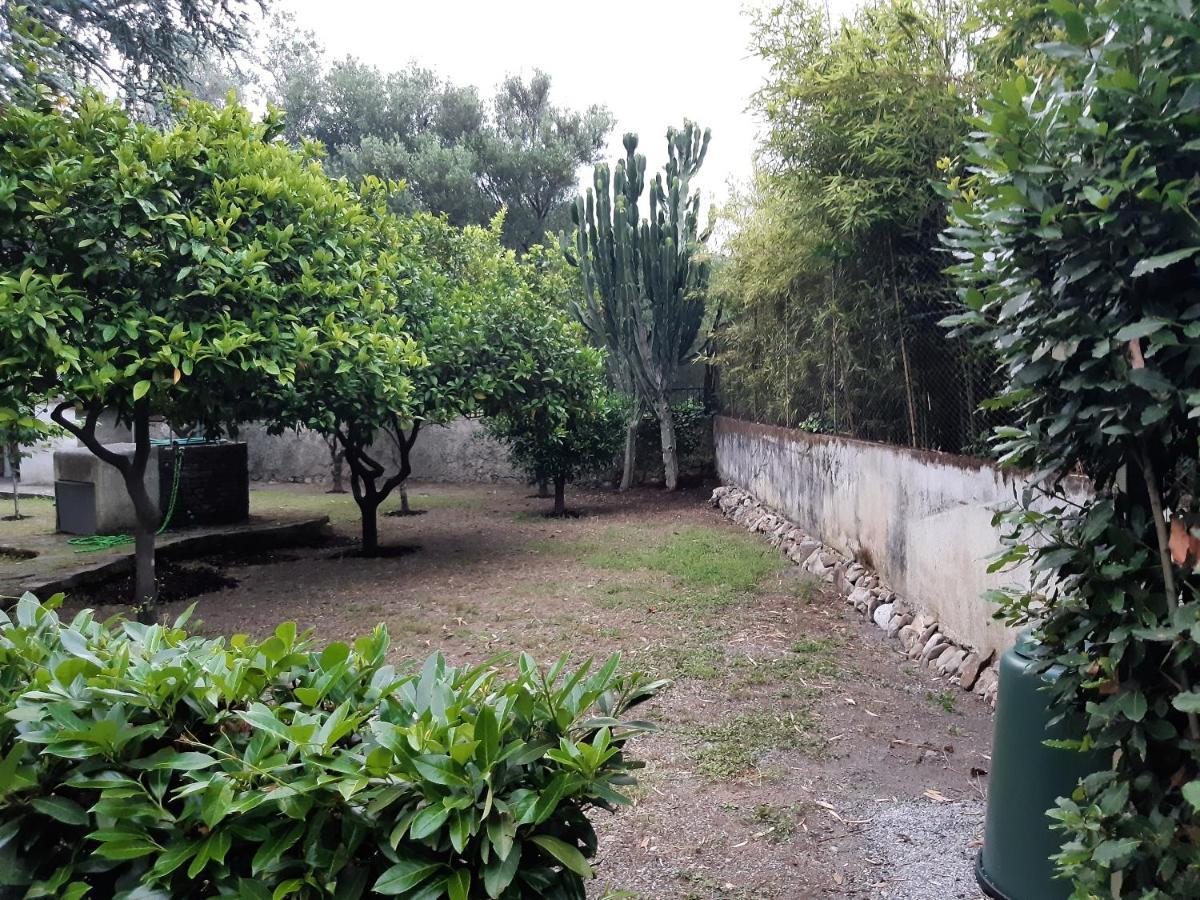 Villa Livia วิลลัมมาเร ภายนอก รูปภาพ